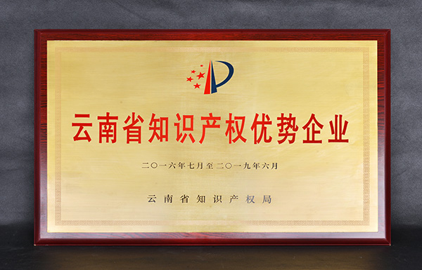 2016年—云南省知识产权优势企业