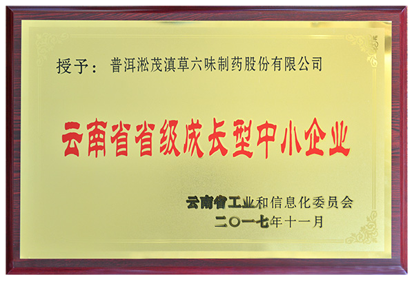 2017年—云南省省级成长型中小企业